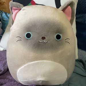 NWT 10” Felton Cat Squishmallow